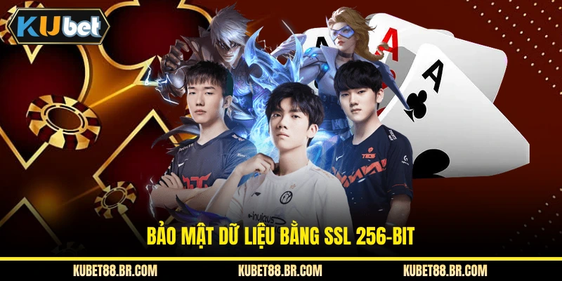 Bảo mật dữ liệu bằng SSL 256-Bit